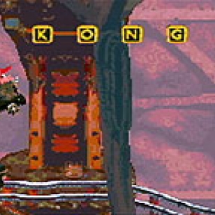 Donkey Kong Country