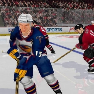 NHL 2004