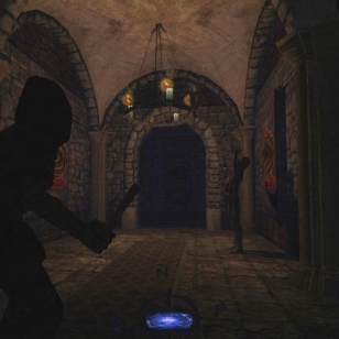 Thief: Deadly Shadows