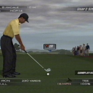 Tiger Woods PGA Tour 2004