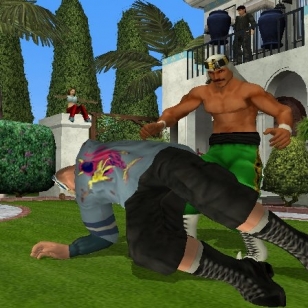 Backyard Wrestling: Don't Try This at Home