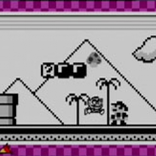 Wario Ware, Inc: Minigame Mania