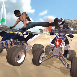 ATV Quad Power Racing 2