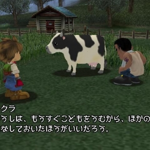 Harvest Moon PlayStation 2:lle