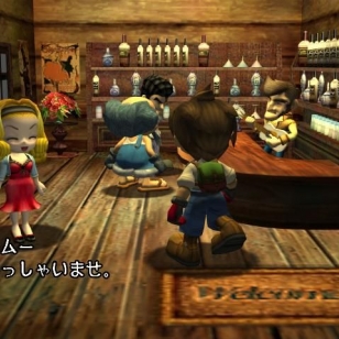 Harvest Moon PlayStation 2:lle