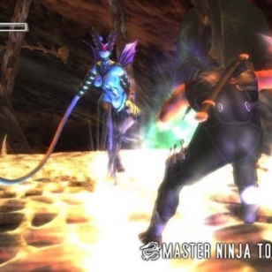 Uutta tietoa Ninja Gaidenin toisesta laajennuksesta