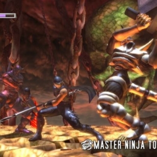 Uutta tietoa Ninja Gaidenin toisesta laajennuksesta