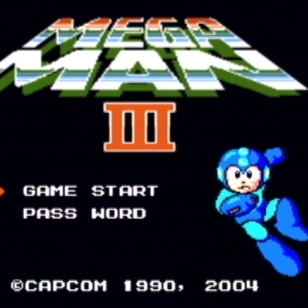 Mega Man Anniversary Collection
