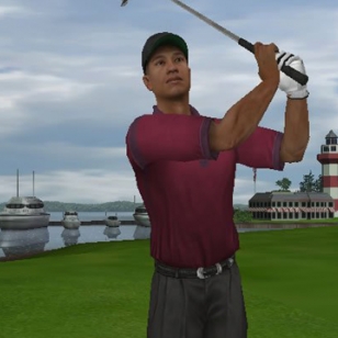 Tiger Woods PGA Tour 2005