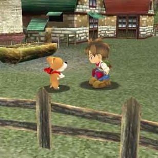 Harvest Moon: A Wonderful Life