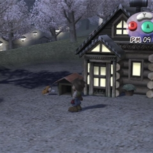 Harvest Moon: A Wonderful Life