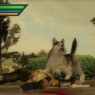 Dead to Rights PSP:lle