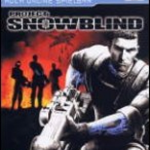 Project: Snowblind