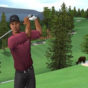 Tiger Woods PGA Tour 2005