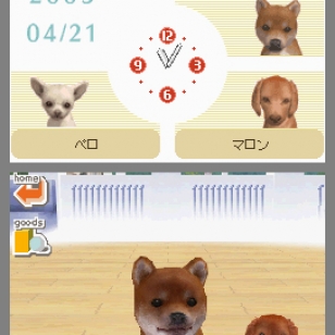 Esikatselussa Nintendogs