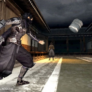 Shinobido: Way of the Ninja
