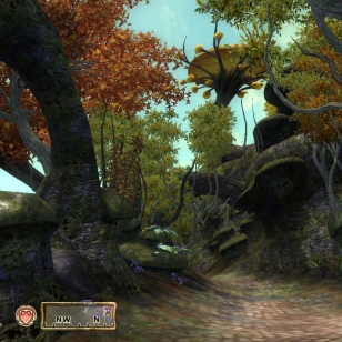 Bethesda vahvisti Oblivion-laajennuksen Xbox 360:lle