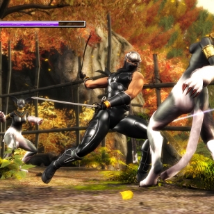 Kuvia Ninja Gaiden Sigman lisukkeista