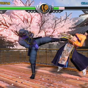 Virtua Fighter 5