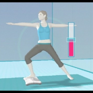 Wii Fit