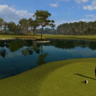 Tiger Woods PGA TOUR 09