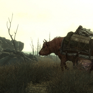Tusina kuvaa Fallout 3:sta
