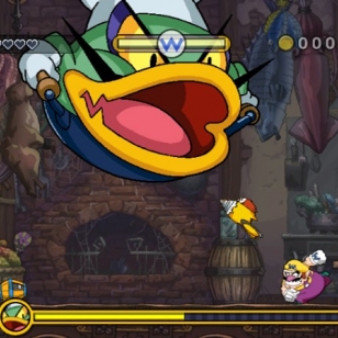 Wario Land: Shake Dimension