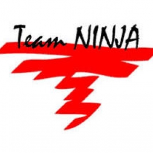 Team Ninjalta kehuja PS3:lle