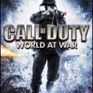 Call of Duty: World at War