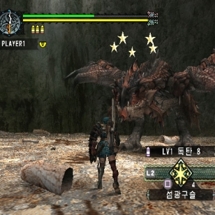 Capcomilta lisää monsterinmetsästystä Wiille