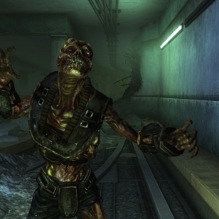 Huhu: Fallout 3:n neljäs laajennus on Point Look