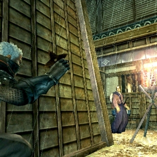 Tenchu: Shadow Assassins