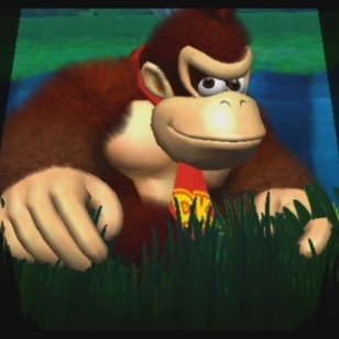 NEW PLAY CONTROL! Donkey Kong Jungle Beat