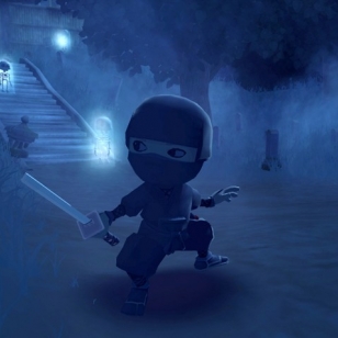 Mini Ninjas