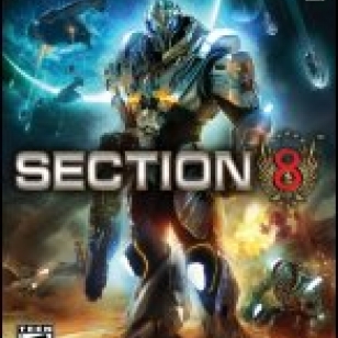 Section 8