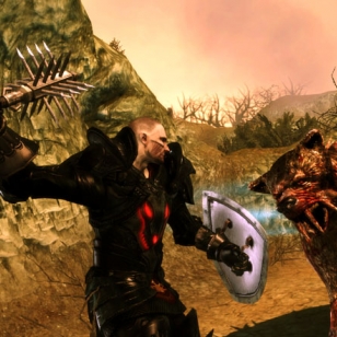 Dragon Age: Origins - Awakening