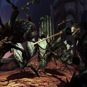 Dragon Age: Origins - Awakening