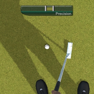 Tiger Woods PGA TOUR 11