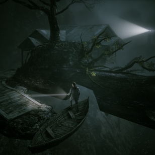 Alan Wake: The Writer