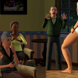 The Sims 3