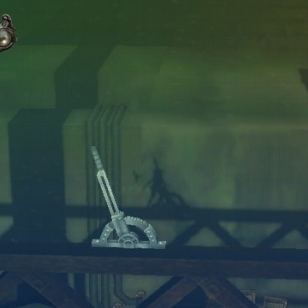 A Shadow's Tale