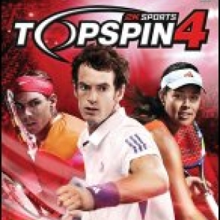 Top Spin 4