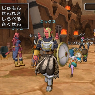 Dragon Quest X 