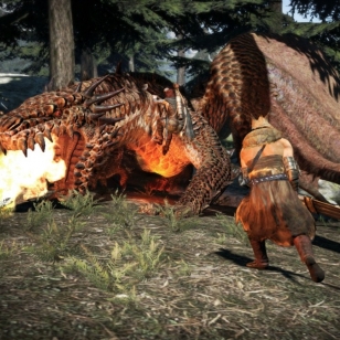 Dragon's Dogma