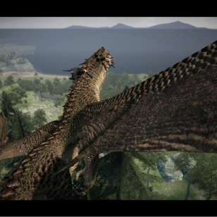 Dragon's Dogma