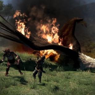 Dragon's Dogma