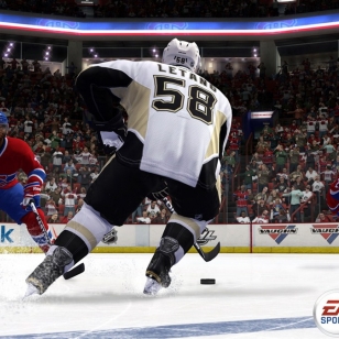 NHL 13