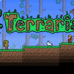 Terraria toukokuussa PS3:lle