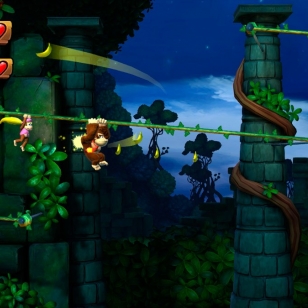 Donkey Kong Country: Tropical Freeze