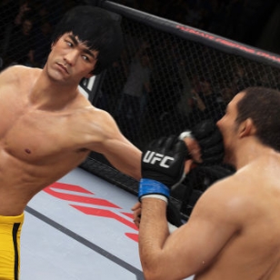 Itse Bruce Lee tähdittää UFC 2014:n hahmokatrasta